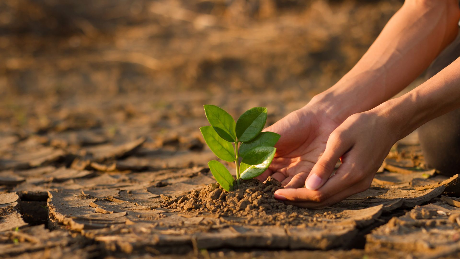 2. Climate Resilience & Decarbonization (30%)