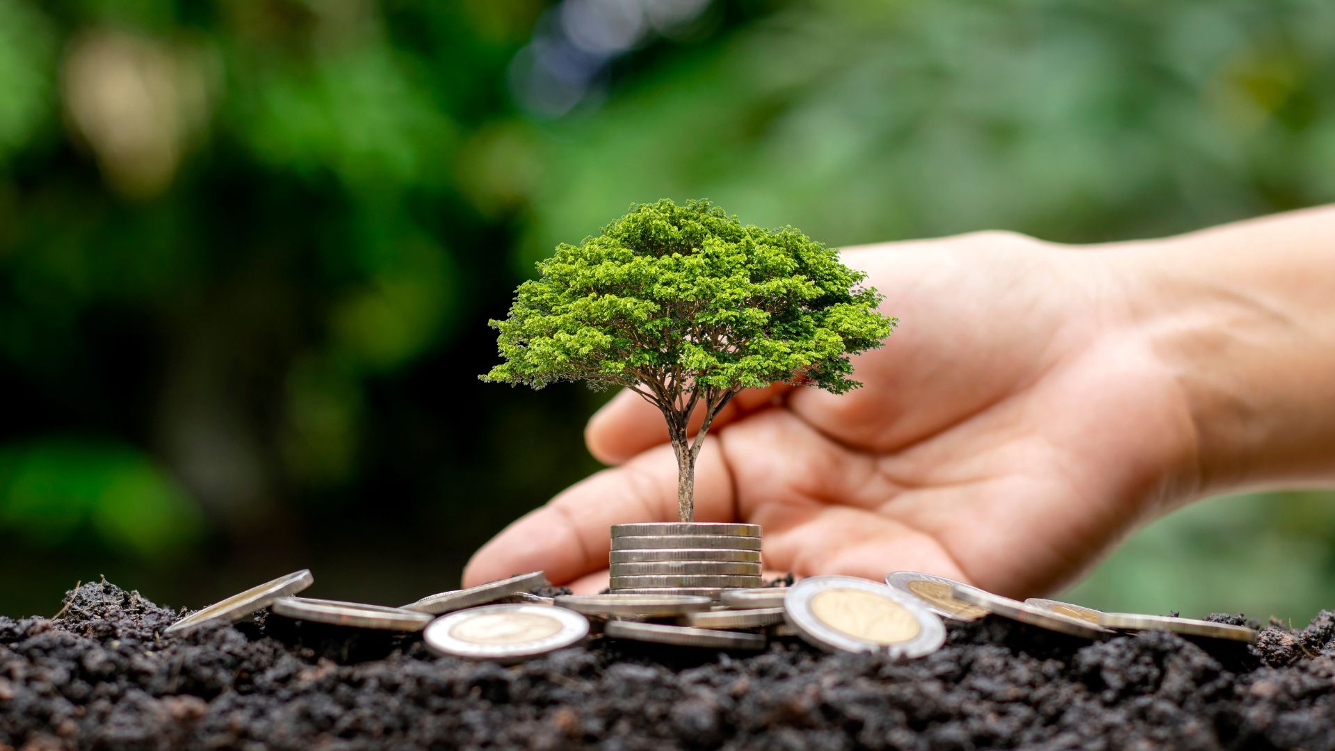 4. Governance, Transparency & Sustainable Finance (20%)