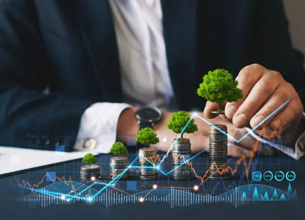 Investment Services