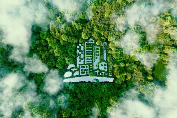 Sustainability First