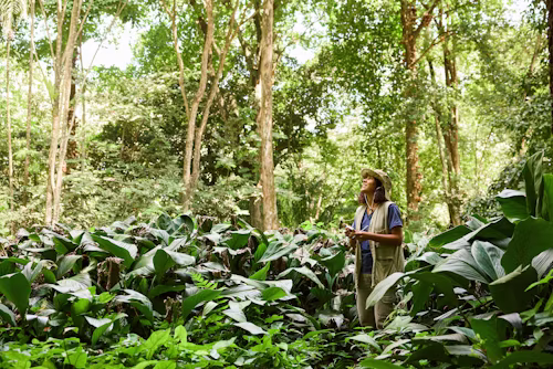 Responsibility to Nature & People