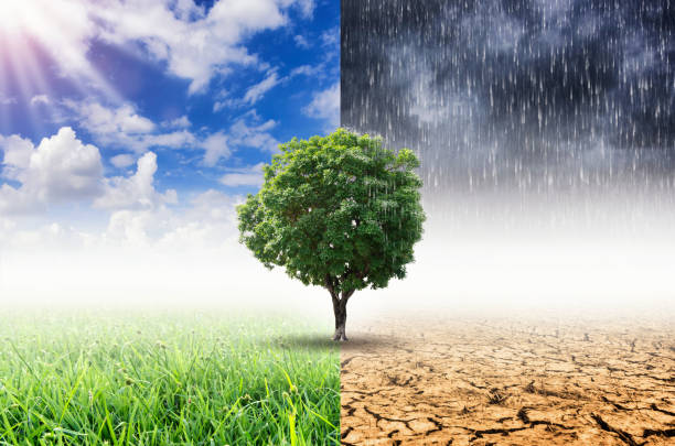 Environmental & Sustainability Challenges