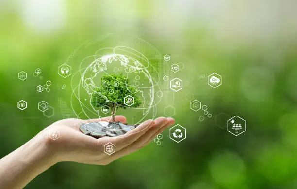 Sustainable Earth