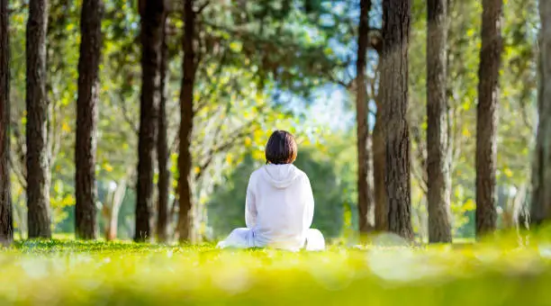 Healing Through Nature
