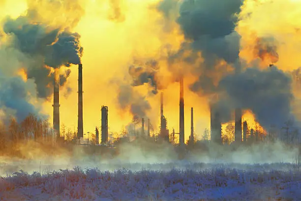 World Health Organization & Air Pollution Crisis