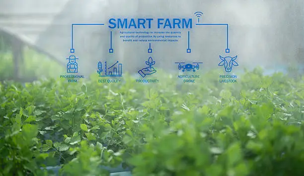 Precision & Data-Driven Farming