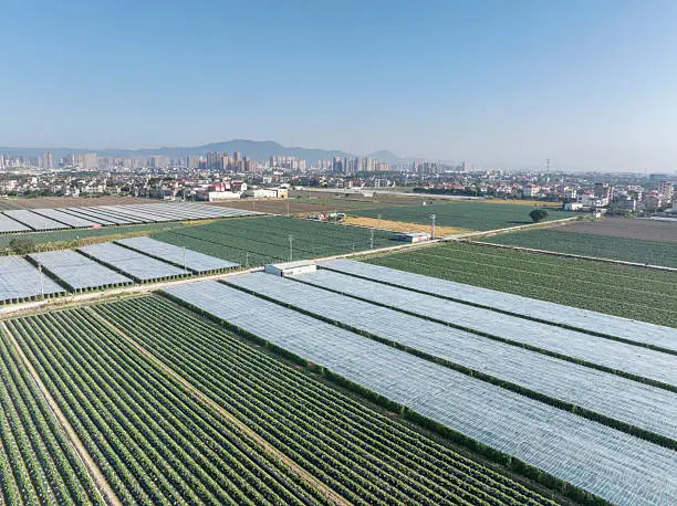 Controlled Environment & Urban Agri