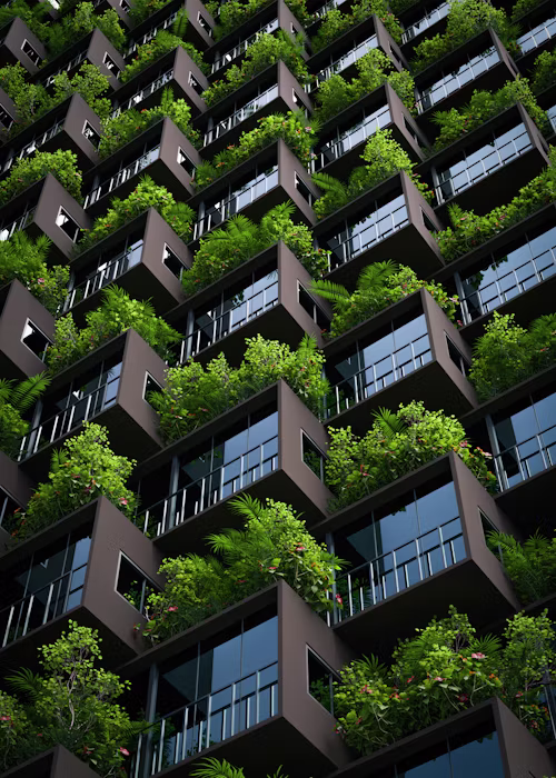 Sustainability & Experience
