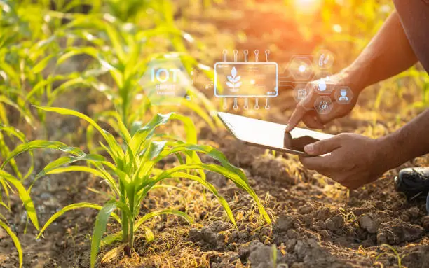 100