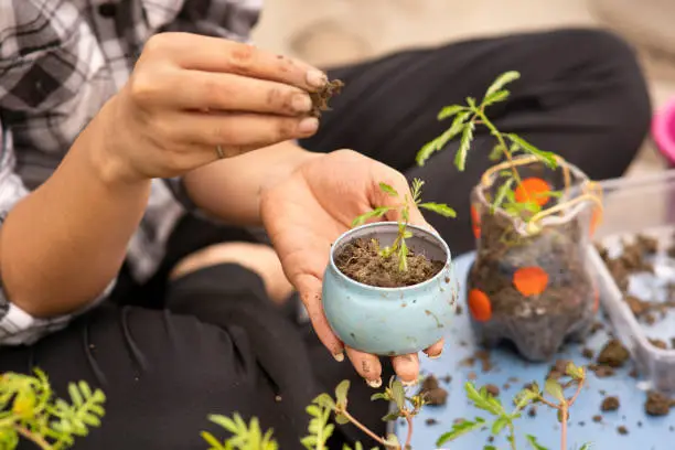 Waste, Circularity & Sustainability