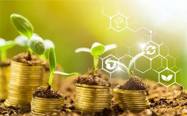 Agri Innovation & Investment
