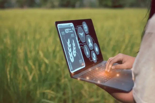 Digital Agriculture & Agri Innovation