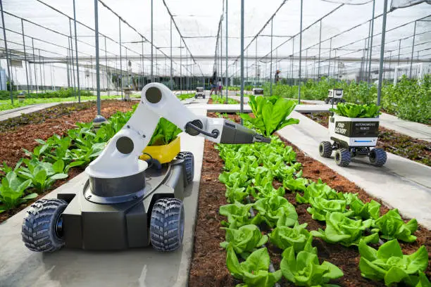 Smart Farming & Digital Agriculture