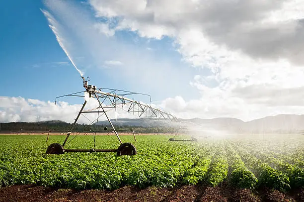 Water-Efficient Agriculture