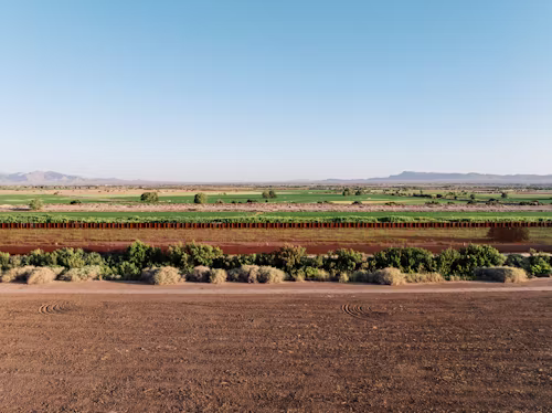 Desert & Controlled Environment Farming