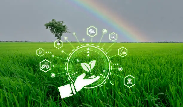 Sustainable Farming & Food Systems