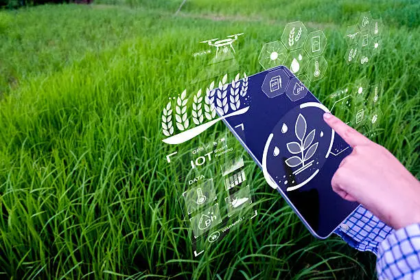 Digital Farming & Productivity